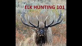 Elk Hunting 101:  A Pacific Northwest Guide