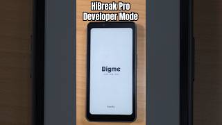 How to turn on Developer Mode on the Bigme HiBreak Pro