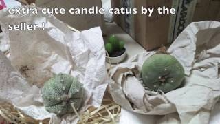 Cactus Unboxing! Lophophora and SuperKabuto