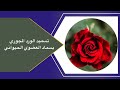تسميد الورد الجوري او السلطاني بالسماد العضوي الحيواني