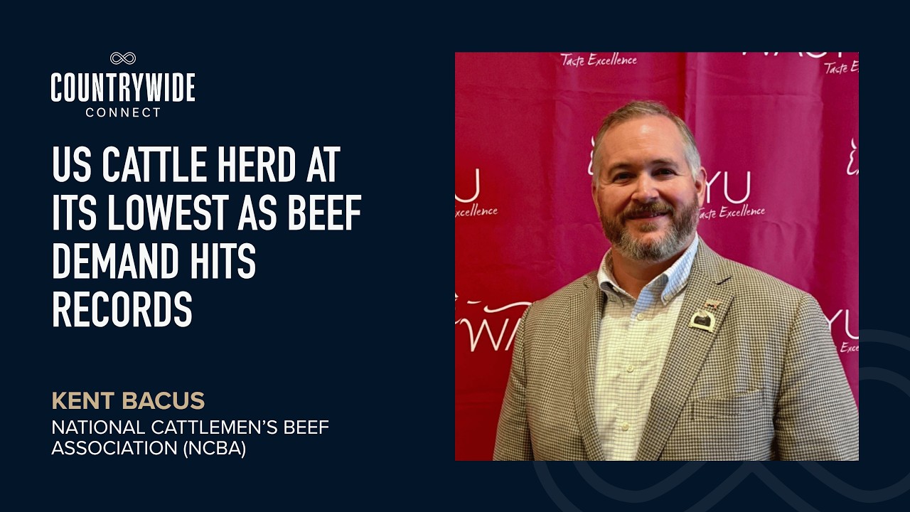 Kent Bacus - US cattle herd at its lowest as beef demand hits records