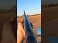 Check Out The Dove In Yuma Arizona Yumaaz Arizona Dovehunting 