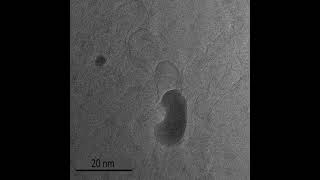 Jeol High Resolution Jem-Arm300F