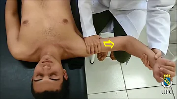 Como fortalecer o músculo subescapular?