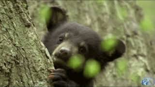 Original2 Your Love Is All