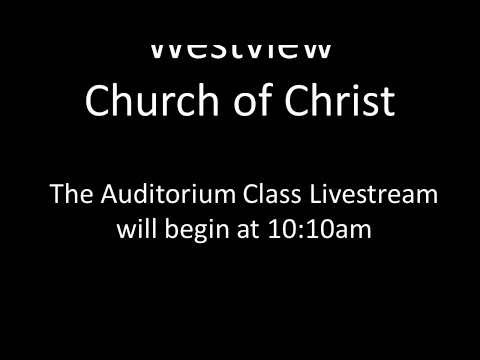 Video preview