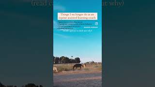 Equine assisted learning coach