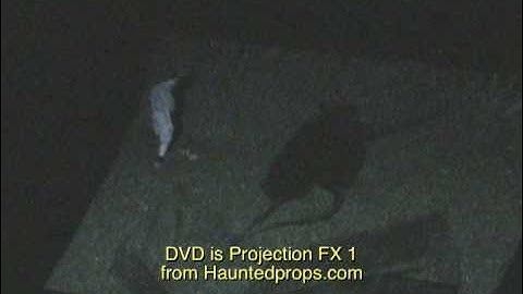 HAUNTEDPROPS.COM GIANT RAT ILLUSION