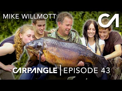 Video: Mirror carp is loved by fishermen and eaters