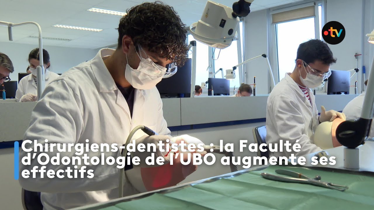 Chirurgiens-dentistes