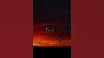 وَأَمَّا الَّذِينَ فَسَقُواْ فَمَأْوَنهُمُ النَّارُ - عبد الرحمن مسعد - سورة السجدة