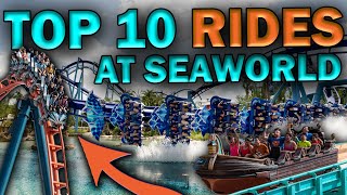 Top 10 BEST Rides at SeaWorld Orlando (2022)