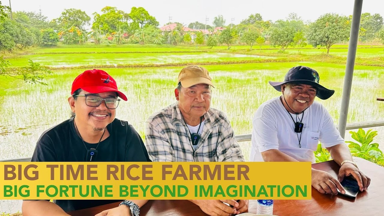 Meet the Biggest and Most Innovative Rice Farmer in Bulacan – A Game Changer!