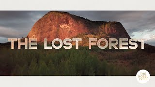 Excerpt: The Lost Forest | Nobel Peace Prize Shorts