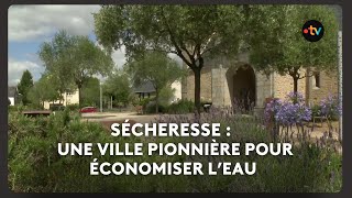 Pas assez d'eau en été, trop d'eau en hiver : la ville de Plescop, à la pointe des économies d'eau. screenshot 1