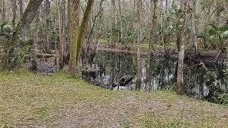 FL  McNeil campground
