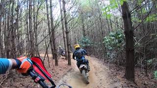 Rattlesnake 2019, y line
