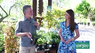 Richard Weber - Springhouse Gardens, More About Native Plants