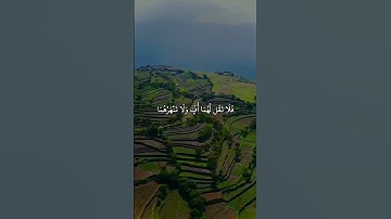 القارئ الشيخ محمد الفقيه #قرآن