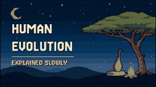 Every Confusing Thing About Human Evolution, for Sleep