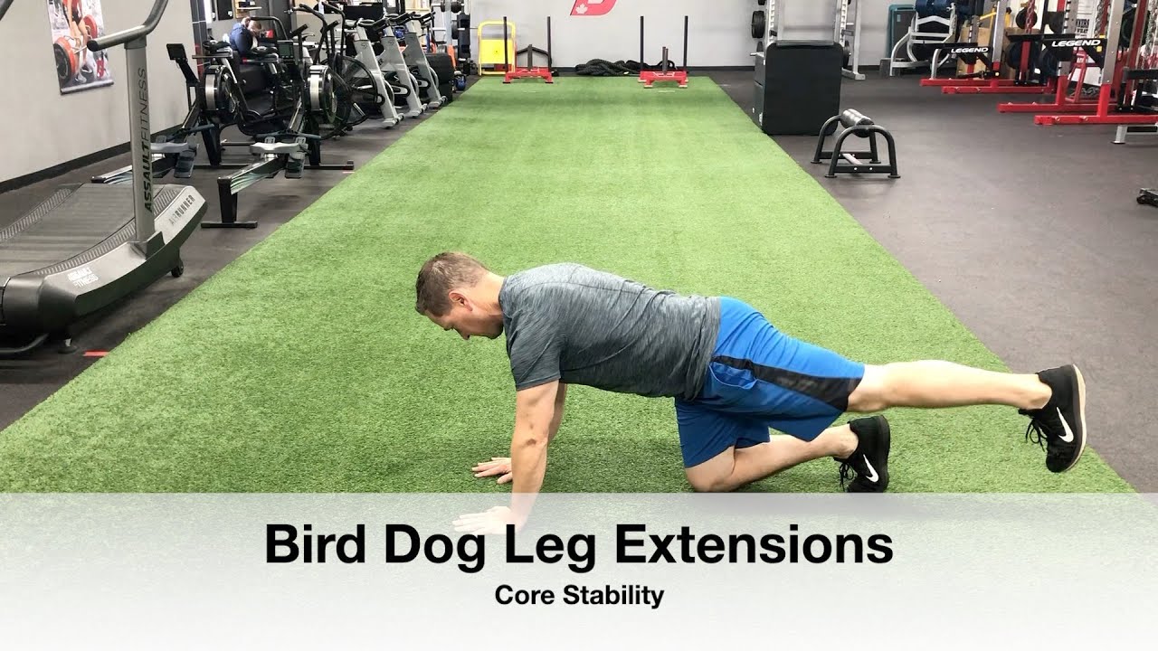Bird Dog Hip Extensions YouTube
