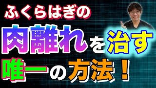 【簡単！セルフケア】ふくらはぎの肉離れを治す唯一の方法！足の冷え・むくみにも！