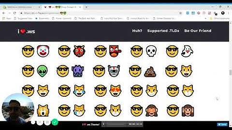 introduction to Emoji domains