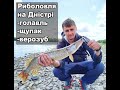 Голавль, щупак, верезуб на р.Дністер. Риболовля на Дністровському перекаті.