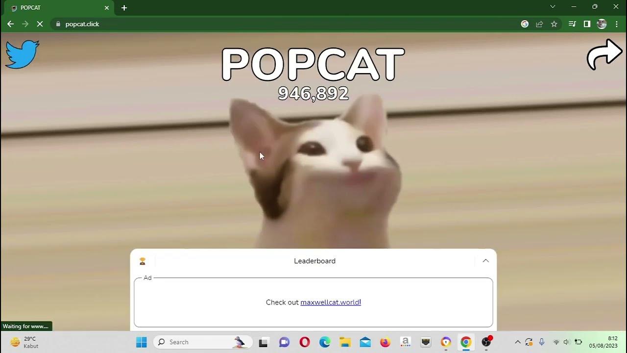 Funny Pop Cat Singing into Microphone