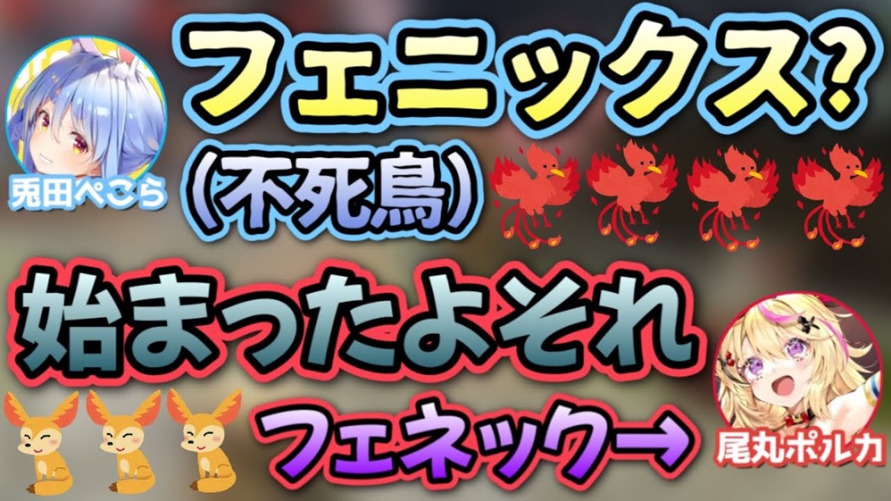 ぺこらにずっとフェニックスイジリされるポルカwww【兎田ぺこら,尾丸ポルカ,博衣こより/ホロライブ/切り抜き】