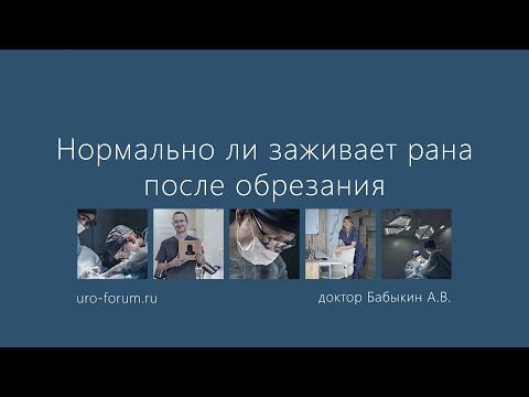 НОРМАЛЬНО ЛИ ЗАЖИВАЕТ РАНА ПОСЛЕ ОБРЕЗАНИЯ