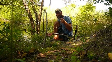 Trigger Fishing Snare