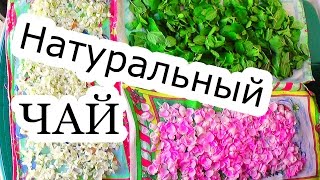 НАТУРАЛЬНЫЙ ЧАЙ СВОИМИ РУКАМИ /Заготовка ЧАЯ из МЯТЫ, ЖАСМИНА, ЧАЙНОЙ РОЗЫ