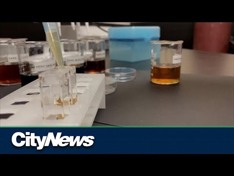 Detecting maple syrup fraud