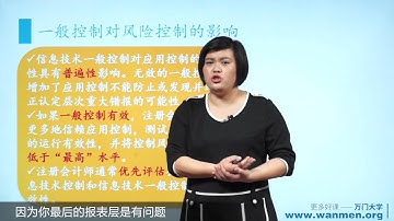 11 5信息技术对审计过程的影响