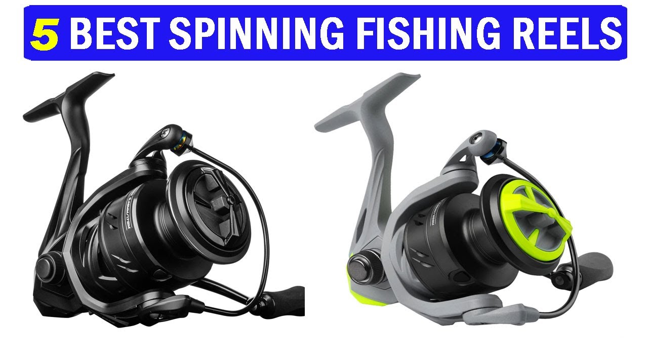 New Best Fishing Reels | Top 5 Best Fishing Reels 2024 - YouTube