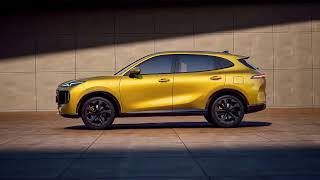 Lepas L6 The Smart Exquisite Explorer