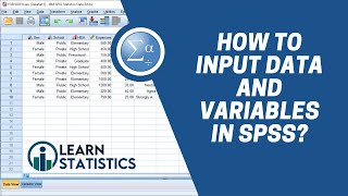 How to Input Data and Variables in SPSS | iLearn Statistics