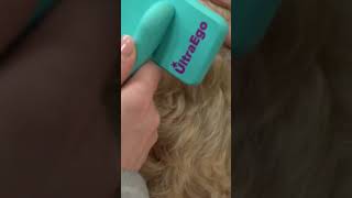 Dog Grooming Tutorial: How to Brush your Dog like a Pro!