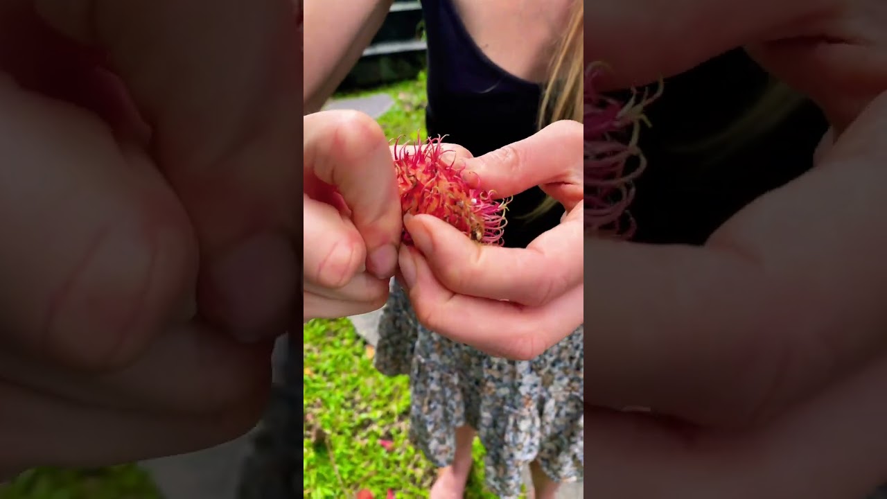 THIS FRUIT LOOKS LIKE THE BALLS OF A MAN