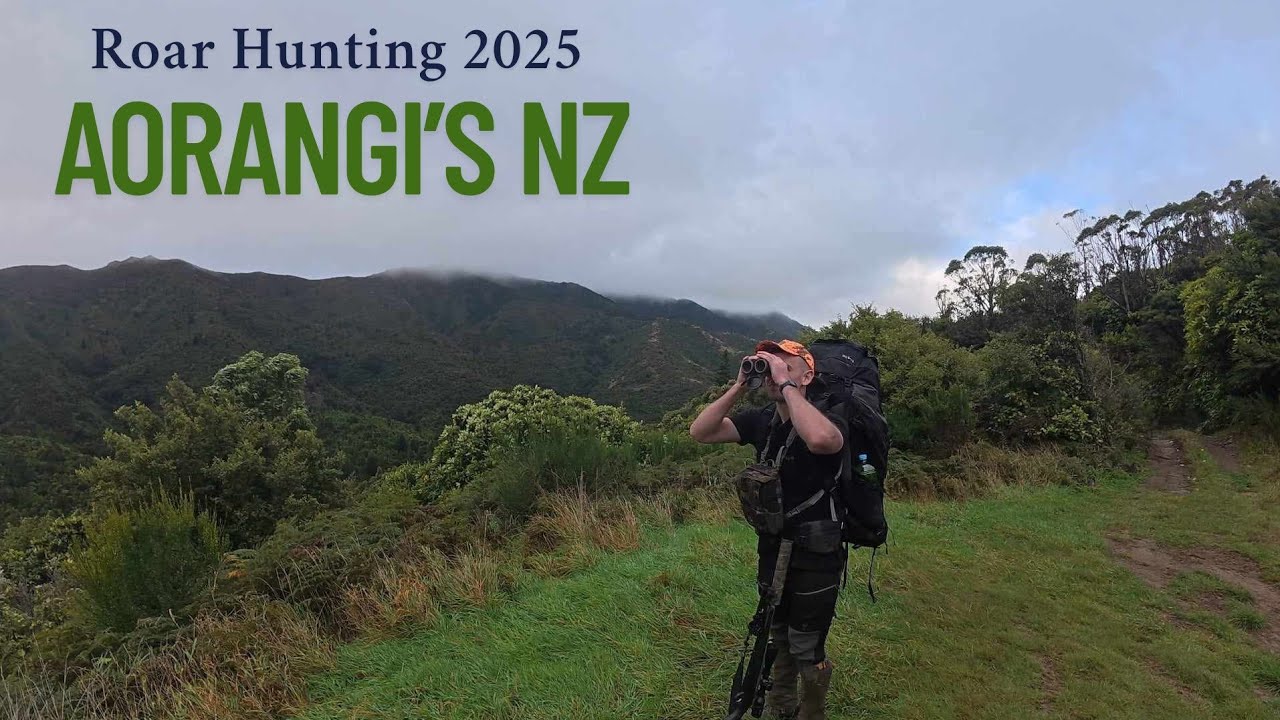 3 Days Hunting in the Aorangi Ranges | Close Encounters, Bee Stings & Campfire Steaks