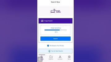 Social Catfish Image Search