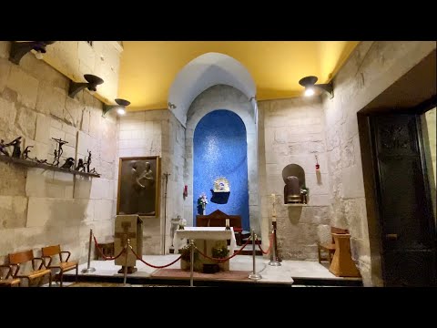 Vídeo: Confessió indigo