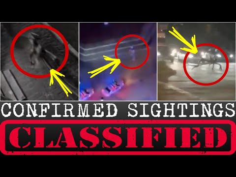 Miami Alien Incident Cover-Up Confirmed Witnesses SILENCED By Cops *MUST WATCH* 