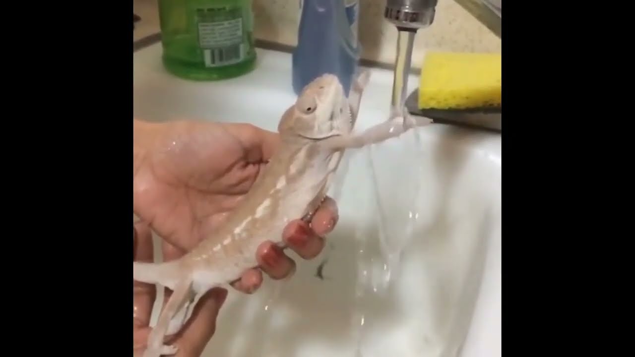 BEST MEMES COMPILATION PART 4