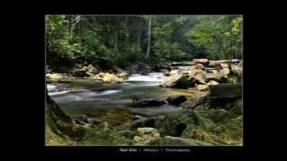 Akar Kita - M.Nasir.wmv