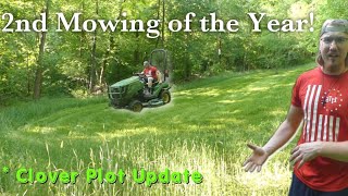 Mowing my CLOVER and plot update | food plot maintenance