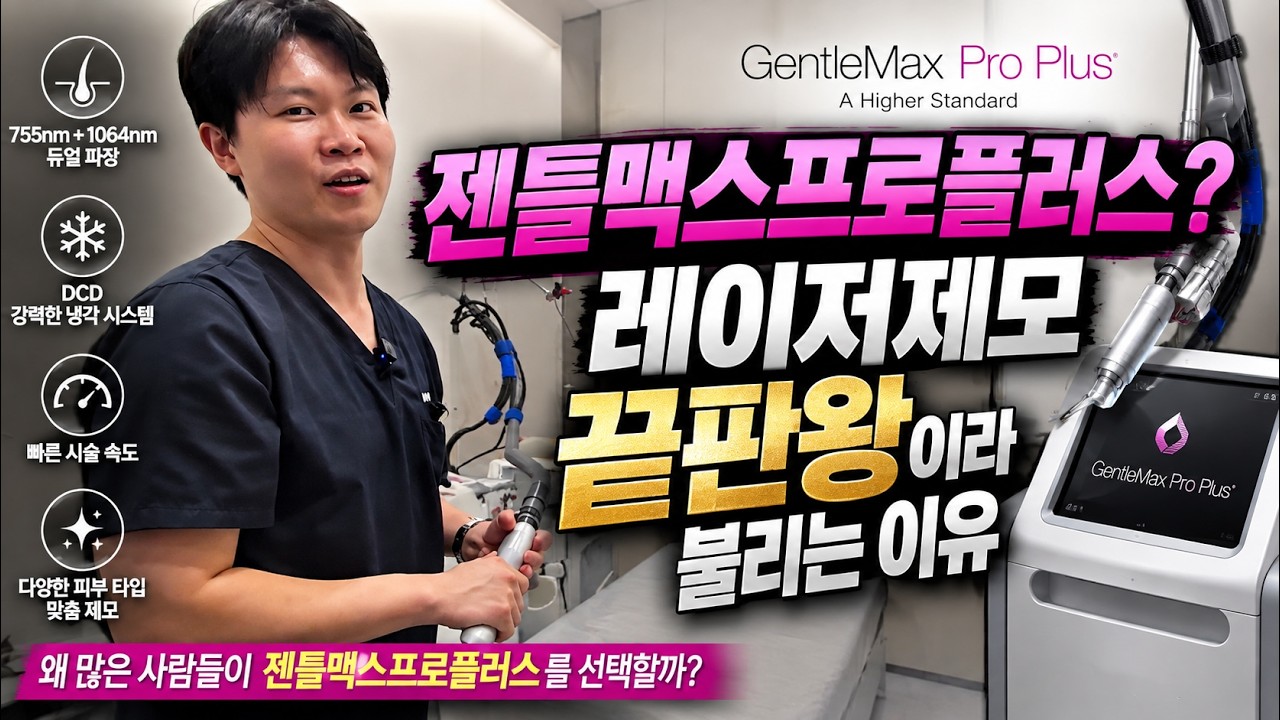 전체 동영상