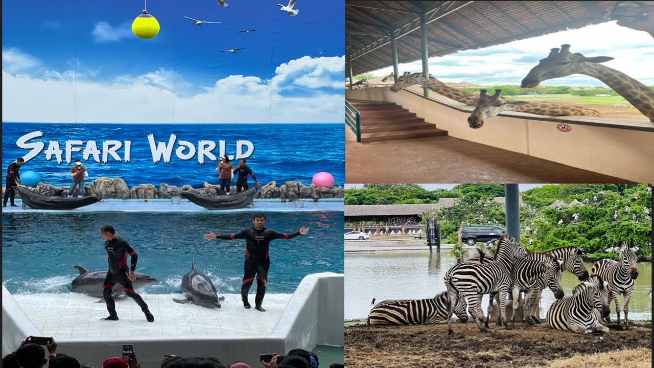 Safari World And Marine Park Bangkok Thailand YouTube Safari World And Marine Park Bangkok Thailand YouTube