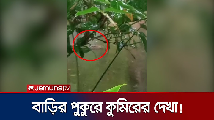 নোয়াখালীতে বাড়ির পুকুরে কুমির; এলাকায় চাঞ্চল্য! | Noakhali Pond Crocodile | Jamuna TV